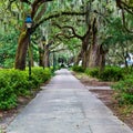 Forsyth Park in Savannah, GA Royalty Free Stock Photo