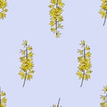 Forsythia branch seamless pattern on blue background