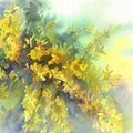 Forsythia yellow flowers watercolor background