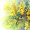 Forsythia yellow flowers watercolor background