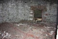 Fort Bastione, a nineteenth-century military fortress, abandoned to the neglect of nature. distressing stone construction inside Royalty Free Stock Photo