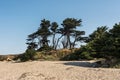 Fort Bragg Sand beach, California Royalty Free Stock Photo