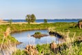 Fort Buitensluis in Numansdorp The Netherlands Royalty Free Stock Photo