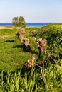 Fort Buitensluis in Numansdorp The Netherlands Royalty Free Stock Photo