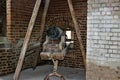 Fort Clinch located on a peninsula near the northernmost point of Amelia Island, along the Amelia River.