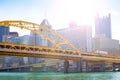 Fort Duquesne Bridge over downtown buildings view