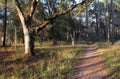 Fort Gadsden Trail