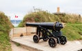 Fort George Canon Royalty Free Stock Photo