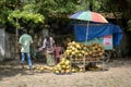 Traditional roadside coconut seller in the Indian town of Fort K