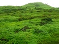 Fort Lohgad Greenery-I Royalty Free Stock Photo
