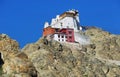 Fort and Namgyal or red gompa is main Buddhist centre in Leh, Ladakh, India Royalty Free Stock Photo