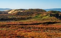 Fort Ord Dunes State Park in Coastal Monterey Royalty Free Stock Photo