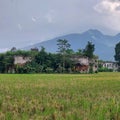 Fort Pendem Ambarawa or Fort Willem I, a Dutch heritage in Ambarawa, Central Java. built in 1834 - 1845