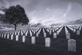 Fort Rosecrans National Cemetery.