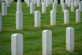 Fort Rosecrans National Cemetery with gravestones in rows during cloudy day