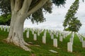 Fort Rosecrans National Cemetery with gravestones in rows during cloudy day