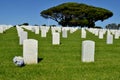 Fort Rosecrans National Cemetery Royalty Free Stock Photo