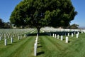 Fort Rosecrans National Cemetery Royalty Free Stock Photo