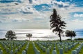 Fort Rosecrans National Cemetery overlooking Pacific ocean