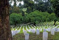 Fort Rosecrans National Cemetery  42798 Royalty Free Stock Photo