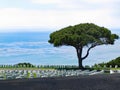 Fort Rosecrans National Cemetery, San Diego, California Royalty Free Stock Photo