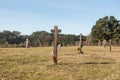 Fort Ross cemetery landscape view