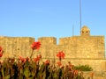 Fort of Sao Joao Baptista da Foz Royalty Free Stock Photo