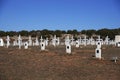 Fort Stanton New Mexico Graveyard