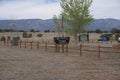 Fort Stanton New Mexico Horse Trails RV Park