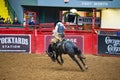 Saddle bronc and bareback bronc riding competition in the Stockyards Championship Rodeo Royalty Free Stock Photo