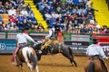 Saddle bronc and bareback bronc riding competition in the Stockyards Championship Rodeo Royalty Free Stock Photo