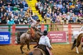 Saddle bronc and bareback bronc riding competition in the Stockyards Championship Rodeo Royalty Free Stock Photo