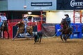 Team roping competition in the Stockyards Championship Rodeo Royalty Free Stock Photo