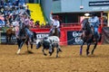 Team roping competition in the Stockyards Championship Rodeo Royalty Free Stock Photo