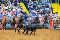 Team roping competition in the Stockyards Championship Rodeo Royalty Free Stock Photo