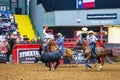 Team roping competition in the Stockyards Championship Rodeo Royalty Free Stock Photo