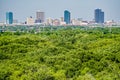 Fort worth texas city skyline in a distance Royalty Free Stock Photo