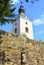 Fortified medieval saxon evangelic church in the village TicuÃÅ¸u Vechi, Deutsch-Tekes,