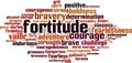 Fortitude word cloud Royalty Free Stock Photo