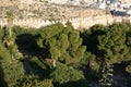 Fortress Alcazaba