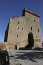 Fortress castle in Chateauneuf du Pape