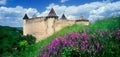 Fortress Khotyn Royalty Free Stock Photo