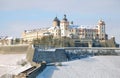 Fortress Marienberg of wuerzburg Royalty Free Stock Photo