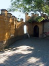 Fortress tower by the wall interesting window and dog Royalty Free Stock Photo