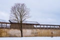 Fortress wall and tree in winter scene Royalty Free Stock Photo