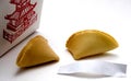 Fortune Cookie Royalty Free Stock Photo