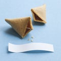 Fortune cookie with blank message Royalty Free Stock Photo