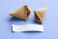 Fortune cookie with blank message Royalty Free Stock Photo
