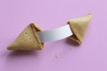 Fortune cookie with blank message Royalty Free Stock Photo