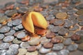 Fortune cookie & Coins